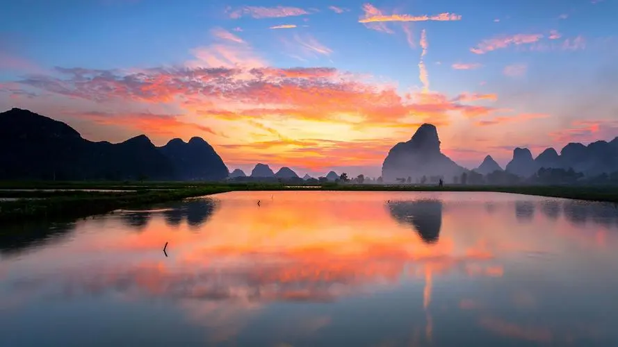 绿色全自动高端